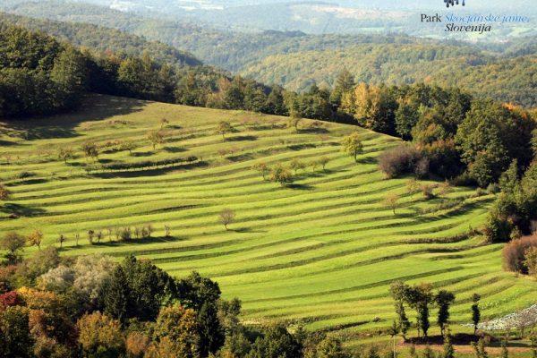 Predavanje dr. Stanislava Renčlja: Brkini – z bogato tradicijo do novih priložnosti