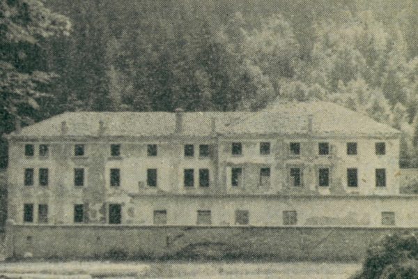Predstavitev knjige Snežniški gozdovi: čas, ki je zaznamoval naše gozdove