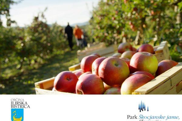 Predavanje PŠJ – brkinska jabolka