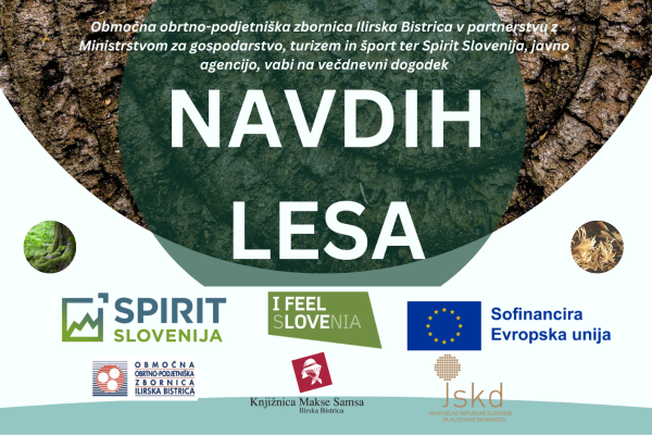 Navdih lesa – otvoritev razstave Tradicija in sedanjost z roko v roki