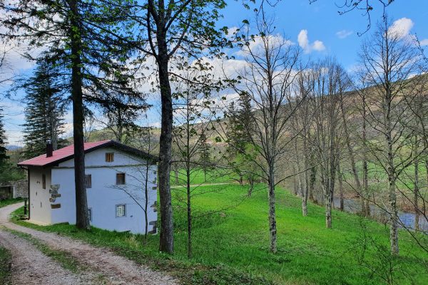 Pohod po Maksini poti