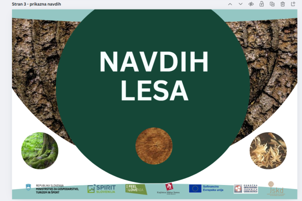 Prireditev Navdih lesa